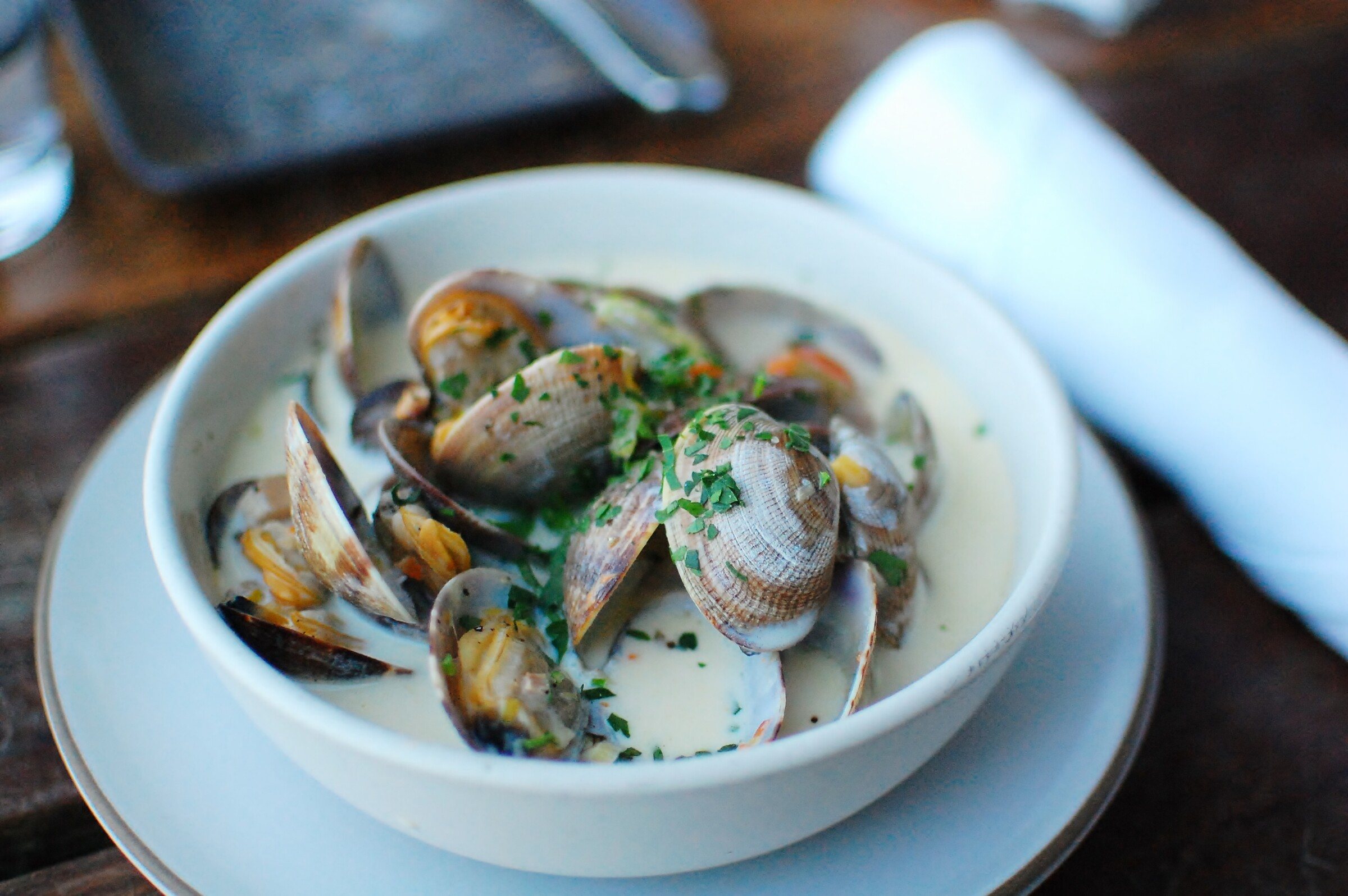 A bowl of creamy clam chowder with clams in their shells